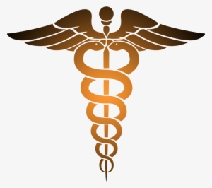Caduceus Orange - Non Emergency Medical Transportation Logo