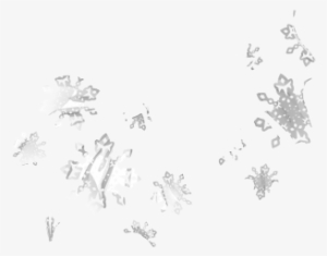 Fresh Snowflake Clipart Transparent Background Snowflakes - Sketch