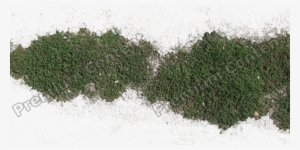 Plants Decals - Grass Decal Texture