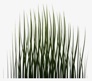 1024 X 1024 Png - Grass Png Game Texture