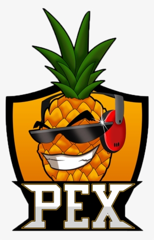 Pexlogo Square - Pex Team