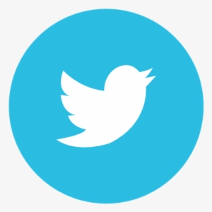 Twitter Circle Mediu - Twitter Icon Transparent