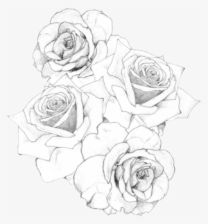 Sidebar Graphics & Pngs - Rose Tattoo Stencil For Men