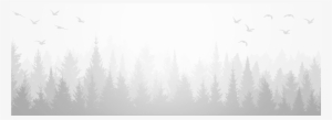 trees background - monochrome