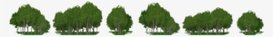 Grassland Trees Background - Thuya