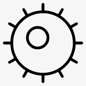 Ovum Egg Cell Fertilization Bacterium Svg Png Icon - Dna Damage And Repair In Human Tissues