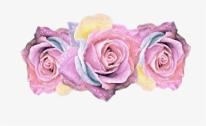 Colorful Roses On Transparent Background, High Resolution,