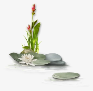 Flower Transparent On Lotus Pond
