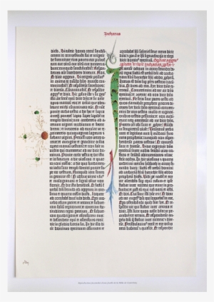 The Gutenberg Bible Or The Lined Bible Incunabula & - Initial I: Saint Mark With His Symbol