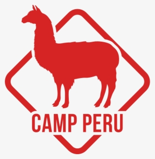 Camps International Camp Peru