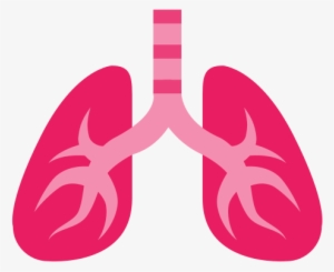 Lung Png