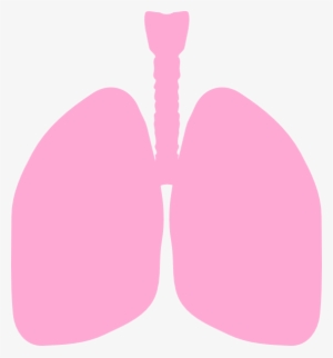 Banner Transparent Stock Lungs Clip Art At Clker - Clip Art Lungs