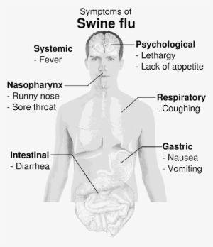 Mb Image/png - Swine Influenza