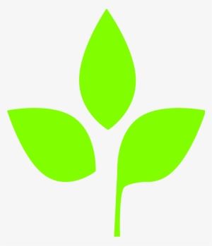 Open - 3 Leaves Vector Png