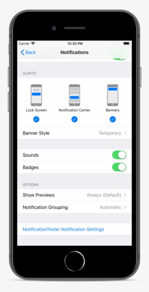 Iphone 8 Plus Shown With System Settings App Open With - Scroll Iphone Animated Mockup