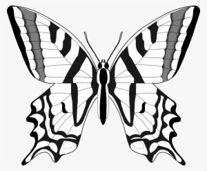 Clipart Butterfly Images Black And White