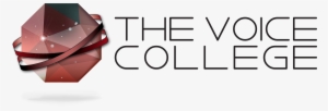 Vidla Is Now The Voice College - Vocal Coach