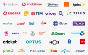 Working With Over 100 Carriers Around The World - Rogers