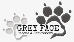 Gfr @ Petsmart