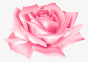 0, - Pink Rose Flower Images Png