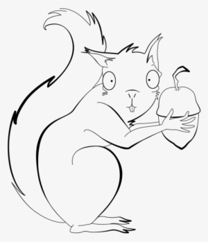 Drawn Line Art Red Squirrel - Cat