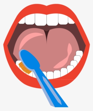 Tooth Brushing Teeth Cleaning Mouth Euclidean Vector - Boca Con Cepillo De Dientes