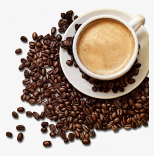 Coffee Beans Wtih Coffee Cup Png Hd, Coffee Beans Png - Coffee Png