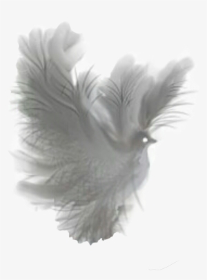 Dove Clipart Feather - Fantasy Dove