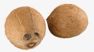 Coconut Png Image - Coconut