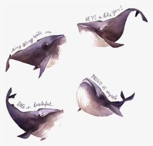 Watercolor Painting Illustrator Iraville Pencil Illustration - Iraville