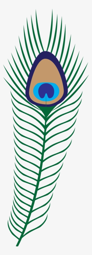 Peacock Transparent Png Pictures - Hera Feather