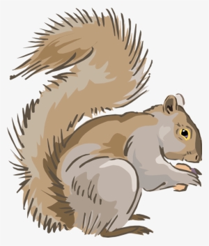 Clipart Squirrel - Squirrels Clip Art
