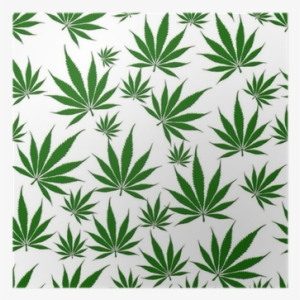 Weed Leaves White Background