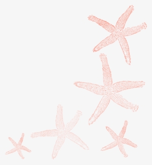 Starfish Stairway Coral Colors Clip Art At Clker - Starfish