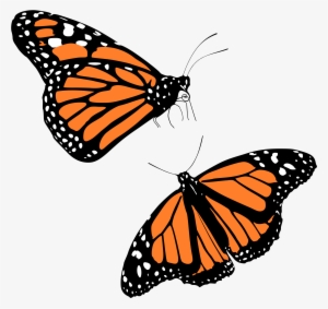 Monarch Butterfly Png Download Transparent Monarch Butterfly Png - transparent roblox shirt butterfly bluepng