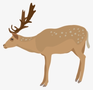 Free Icons Png - Deer Clipart Transparent Background