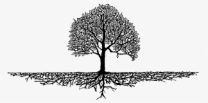 Source - - Tree Roots Clipart