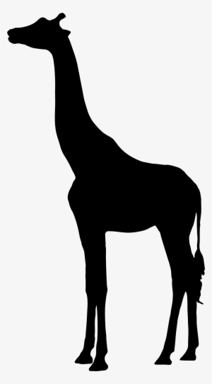 Big Image Png - Giraffe Silhouette