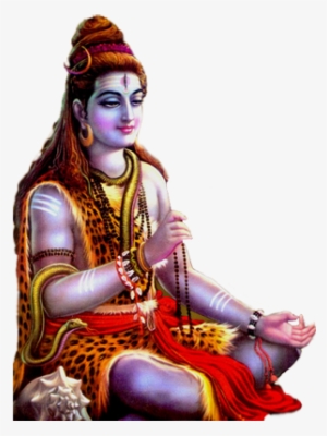 Vastu, Astrology, Numerology Consultant Pune - Shiva Live