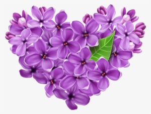 Svg Freeuse Lilac Transparent Background - Cuore Di Anna Buon Pomeriggio