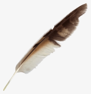 Free Download - Feather Transparent