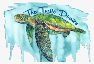 Sea Painting Turtle
