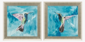 Hummingbirds Pk/2 - Kunstdruk: Watercolor Hummingbird Ii By Grace Popp,