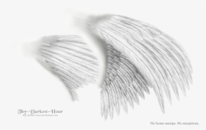 Dual Wings White - Sketch