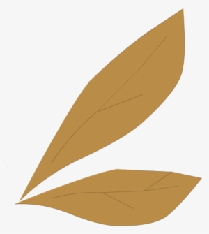 White Scaraleaf Wings - Paper