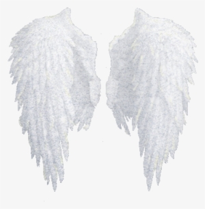 White Wings Png Psychic Tarot Readings - Realistic Angel Wing Drawing