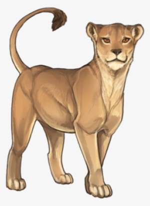 Lioness Png Picture - Kitty Lioden
