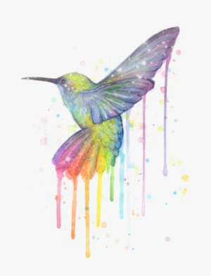Hummingbird Of Watercolor Rainbow