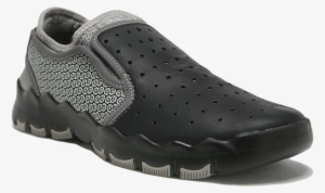 Free Delivery For Order Above $100