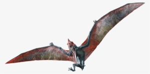 Pterodactyl Transparent Jurassic World - Jurassic World Fallen Kingdom Pteranodon